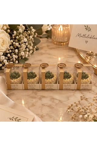 20 Li Kişiye Özel Nikah Hediyeliği Sukulent Mum Taş Tozu Mumluk Süslemeli Etiketli