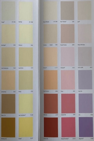 Filli Boya Momento Plus Plastik Boya 15 LT