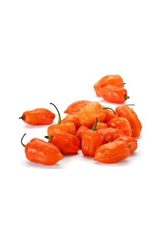 Nadir Ithal Çok Acı Habanero Biber Tohumu 5 Tohum Biber Tohumu