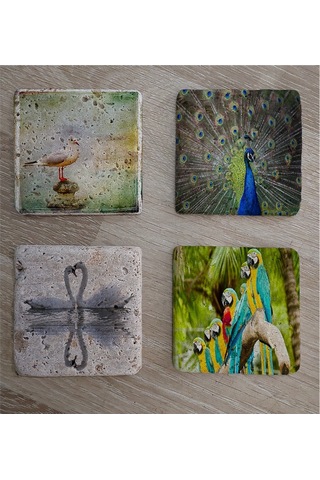 Martı Tavuskuşu Papağanlar Kuğular Doğal Taş Bardak Altlığı 4'lü Set - Natural Stone Coasters - Taş Çok Renkli