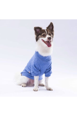 Pawstar Mavi Merino Sweat Küçük ve Orta Irk