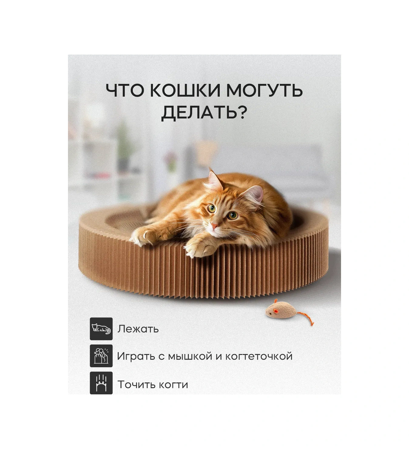 Kogtedralka Kedi Tırmalama Tahtası Yer Tipi Oyuncaklı, Yatak, 2 Adet 283385057