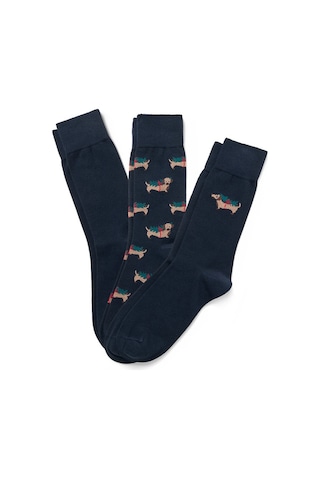 Tchibo Erkek Çorap, 3lü, Köpek 41-43 Lacivert