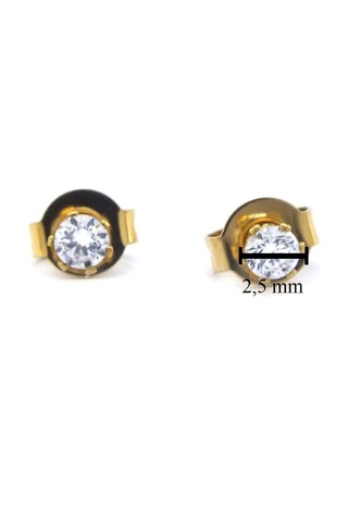 Ferizz Altın Kaplama Altı Tırnaklı Zirkon Taş Kadın Küpe Unk-780 Sarı
