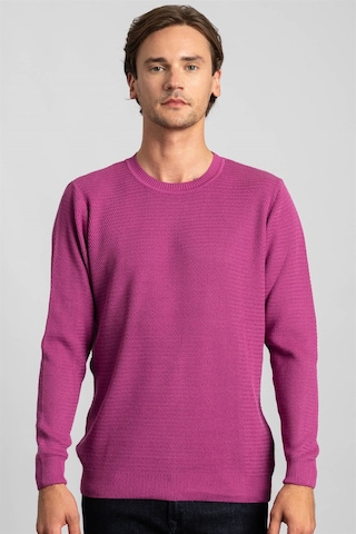 Tudors Slim Fit Dar Kesim Armürlü Erkek Kazak-22273 Lila