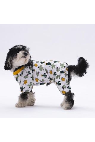 Pettrend Kaktüs Desenli Kedi Köpek Kıyafeti Penye Tulum