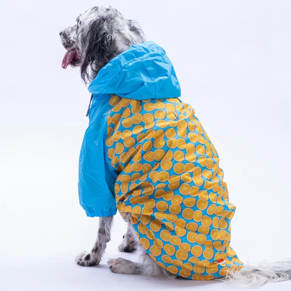 Nice Citrus Narenciye Desenli Büyük Irk Köpek Montu Köpek Yağmurluğu Köpek Kıyafeti Köpek Elbisesi