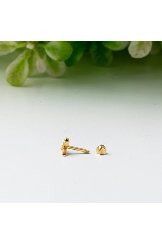 Bilezikci  Minik Kuş 14 Ayar Altın Tragus Küpe Kphss14k22478 Sarı