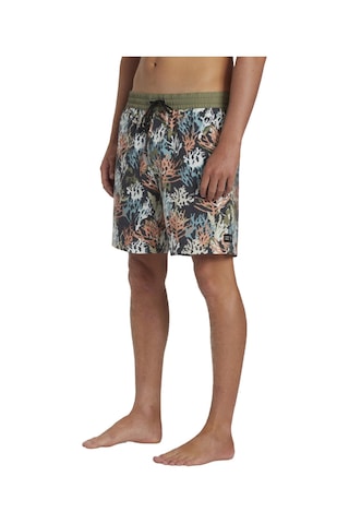 Bıllabong Billabong Coral Garden Layback Erkek Volley Short Mul Çok Renkli