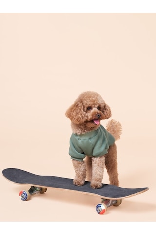 Duckdash Küçük ve Orta Irk Köpekler İçin Köpek Sweatshirt
