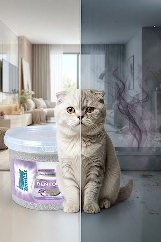 Bebek Pudralı Bentonit Kedi Kumu 2x10 Lt - İnce Taneli, Güçlü Topaklanan, Uzun Süreli Ferahlık, Kovalı