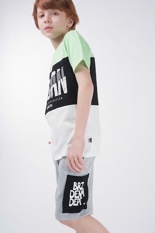 Brz Kids Kontrast Renkli Baskılı Erkek Çocuk Kısa Kollu T-Shirt Çok Renkli