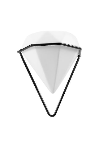 1 Adet Duvara Asılan Etli Saksı