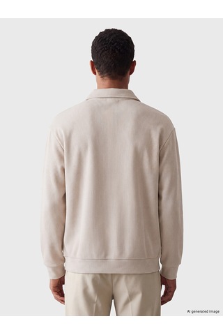 Lcw Vision Bej Polo Yaka Erkek Kalın Sweatshirt