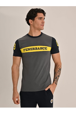 Fenerbahçe Erkek Kolej 1907 Fb Tshırt Gri