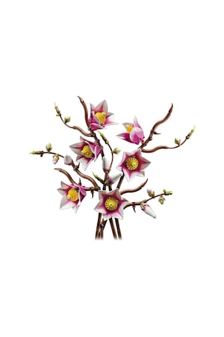 LEGO® Botanicals Manolya Dalları 11510 - Yetişkinler için Çeşitli Detaylar İçeren Çiçek Buketi Model Yapım Seti (435 Parça)