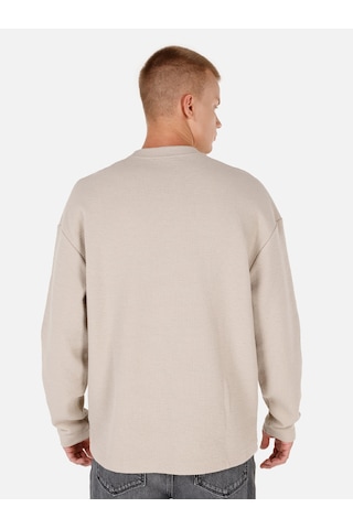 Colins Normal Kesim Bisiklet Yaka Bej Erkek Uzun Kol Tişört Cl1071043 Bej