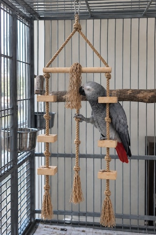 Mivra Pets Papağan Oyun Parkuru 80 Cm Ahşap Jüt Mivra Pets Papağan Oyun Parkuru 80 Cm Ahşap Jüt