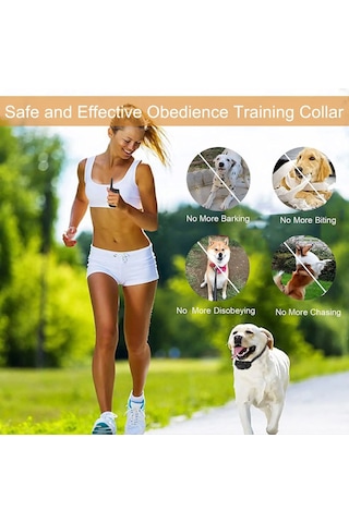 Zilinn 3000ft Köpek Şok Tasması, Su Geçirmez Ve Şarj Edilebilir Evcil Hayvan Eğitmeni