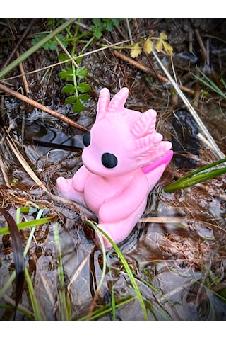 Axolotl Biblo Oyuncak 3D Yeni Nesil Organik Model - Orta Boy