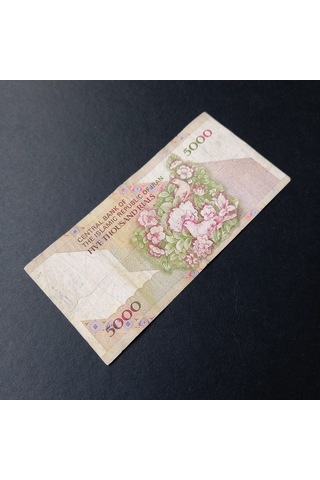 Escoines Koleksiyon 3996368f6c8ddb5aa2 5000riyal Çiçekli Tip Temiz/çt Kağıt Para