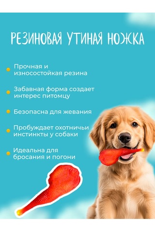 Great Bro Küçük Köpekler Ve Yavru Köpekler İçin Oyuncak Seti 391563940