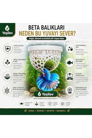 Beta Balığı Açık Mavi Betta Dinlenme Alanı & Üretim Yuvası
