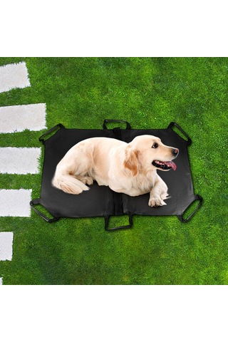 Homyl Evcil Hayvan Taşıma Sedyesi Taşınabilir Acil Kurtarma