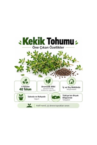 Sunagri Kekik Tohumu Saksı Bahçe Balkon Aromatik Bitki Yetiştiriciliği 40 Adet