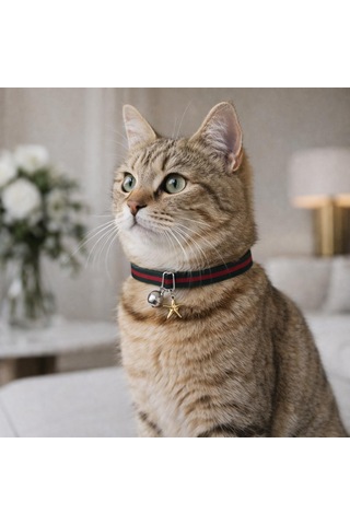 Zilli Kedi Tasması/charm Detaylı/ Yeşil Kırmızı Yeşil - Kırmızı