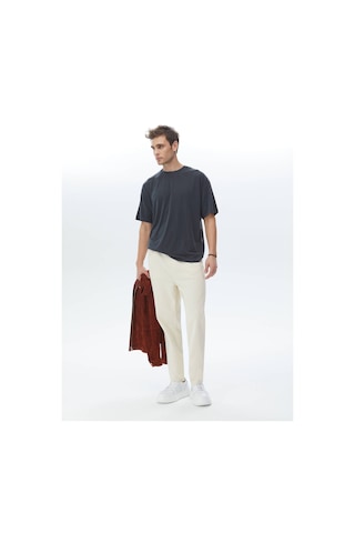Kip Açık Bej Düz Dokuma Carrot Fit Casual Pamuk Karışımlı Pantolon Bej