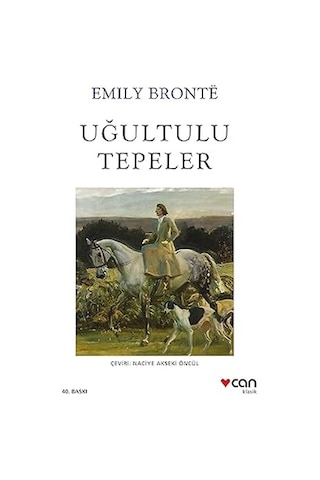 Biri Daha Var + Uğultulu Tepeler + Tarçın Ve Gizemli Sesler + Bunun Adı Findel + 15 Kitap