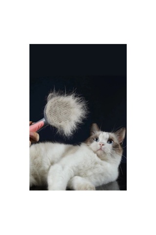 Kullanıma Uygun Otomatik Tuşlu Kendini Temizleyen Kedi Köpek Tarağı
