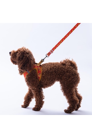 Poodle Leash Poodle Desenli Kedi Köpek Sevk & Gezdirme Kayışı Köpek Uzatma Tasması Turuncu