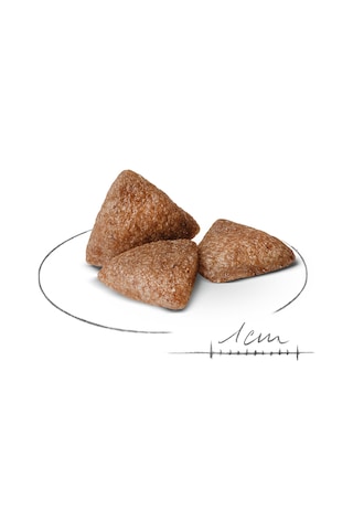 Royal Canin Mini Indoor Yetişkin Köpek Maması 1500 G