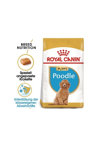 Poodle Yavru Köpek Maması, 3 Kg