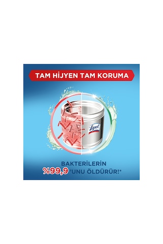 Lysol Çamaşır Makinesi Temizleyici Çam Ve Okaliptus Ferahlığı 250 Ml