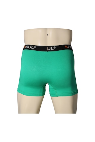 Kennpaul Erkek Yeşil Premium Modal Boxer Konforlu Boxer Kaliteli Boxer Yeşil