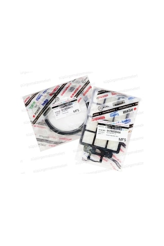 Beko Uyumlu Bks 5540 Hepa Filtre Seti (519547103)
