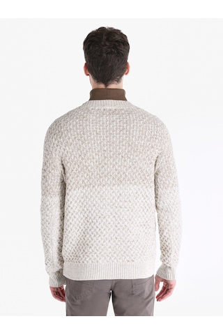 Colin's Colins Regular Fit Triko Gri Erkek Kazak Cl1066048 Bej