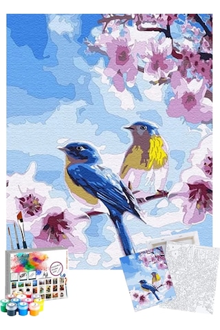 Sayılarla Boyama Seti 40 x 50 CM Tuval Şasesine Gerili Bahar Dalında Kuşlar