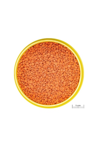 Jbl Pro Novo Bits Grano M Granül Çiklet Balık Yemi 1 KG