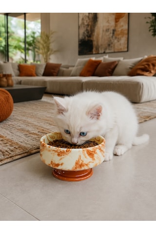Mama Kabı Kedi Ve Köpek 1 Adet Doğal Mama Veya Su Kabı Kahverengi Marble