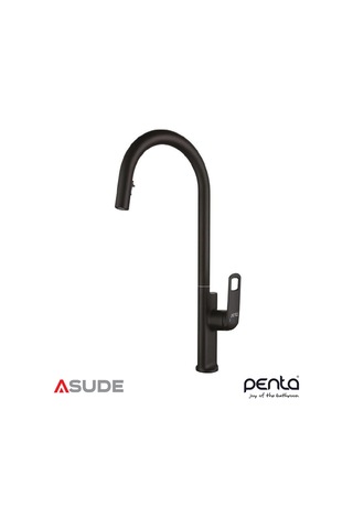 Penta 1321b Black Spiralli Evye Bataryası Siyah