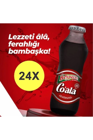 Beypazarı Co Ala Lime Ve Baharat Aromalı Maden Suyu 200 Ml X 24 Adet
