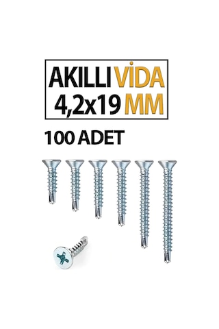Akıllı Vida 4,2x19 Mm 100 Adet Diğer