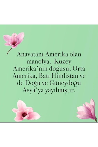 Eyüp Sabri Tuncer Manolya Çiçeği El ve Vücut Peeling 400 ML + El ve Vücut Kremi 50 ML + Kolonya Pet Şişe 400 ML + Sprey Kolonya 150 ML