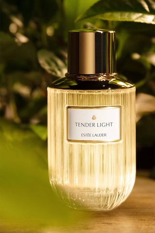 Estee Lauder Tender Light Kadın Parfüm EDP 100 ML Luxury Fragrance Koleksiyonu 887167557253