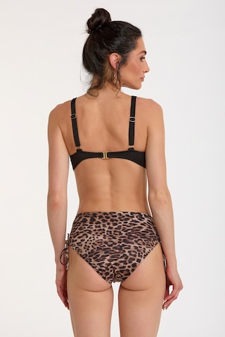 Argento Kadın Leopar Desenli Sabit Kaplı Yüksek Bel Bikini Takımı Siyah