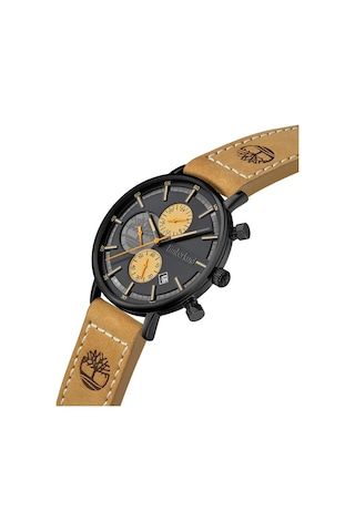 Timberland Tdwgf2182902 Erkek Kol Saati Siyah